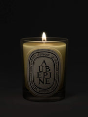 Aubépine (Hawthorn) - Classic Candle