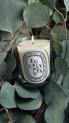 Eucalyptus - Classic Candle