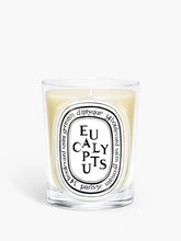 Eucalyptus - Classic Candle