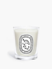 Feuille de Lavande (Lavender Leaf) - Small Candle