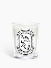 Feuille de Lavande (Lavender Leaf) - Classic Candle