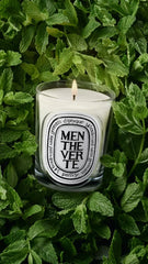 Menthe Verte (Spearmint) - Classic Candle