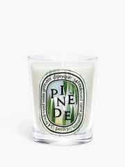 Pinède (Pine Grove) - Classic Candle