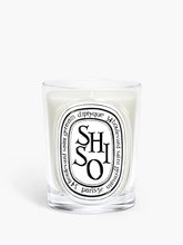 Shiso - Classic Candle