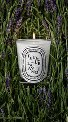 Feuille de Lavande (Lavender Leaf) - Small Candle