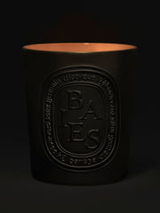 Baies (Berries) - Large Candle