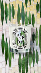 Pinède (Pine Grove) - Classic Candle