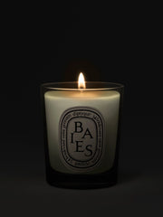 Baies (Berries) - Small Candle