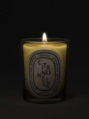 Citronnelle (Lemongrass) - Classic Candle