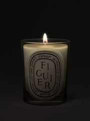 Figuier (Fig Tree) - Classic Candle