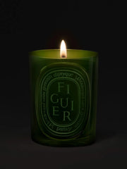 Figuier (Fig Tree) - Medium Candle