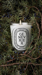 Genévrier (Juniper) - Classic Candle