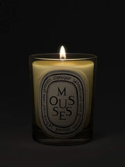 Mousses (Moss) - Classic Candle