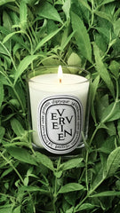 Verveine (Lemon Verbena Scented) - Small Candle