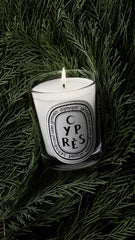 Cyprès (Cypress) - Small Candle