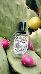 Ilio - Eau de toilette